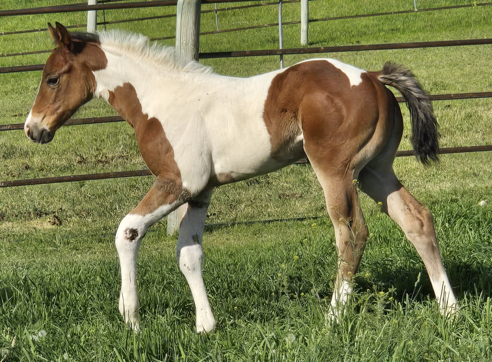 051888f3-a8cb-42d2-9bde-5e412d2c6679