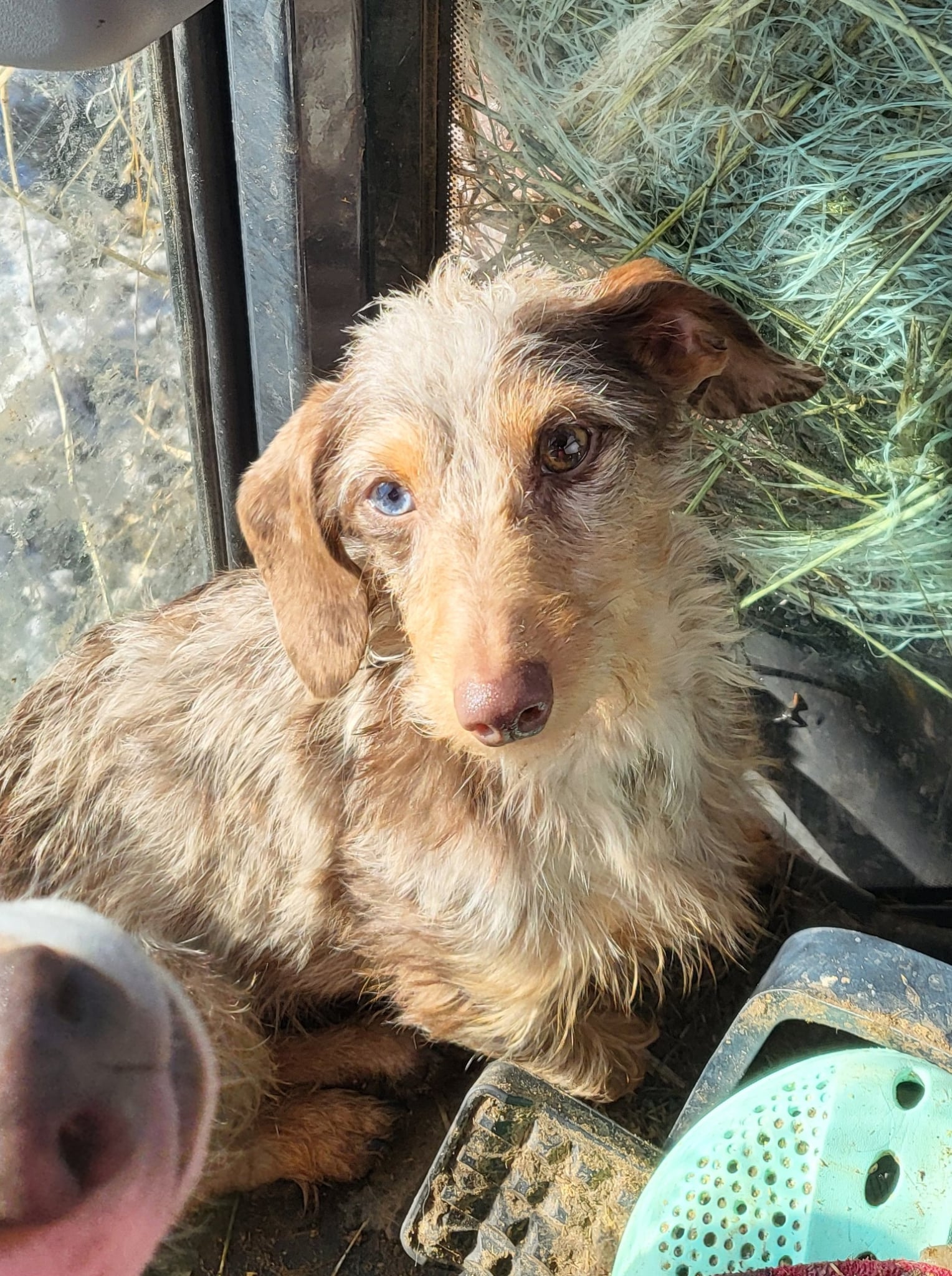 2d4fa2f3-040a-4a0c-8b47-08c091fc1318