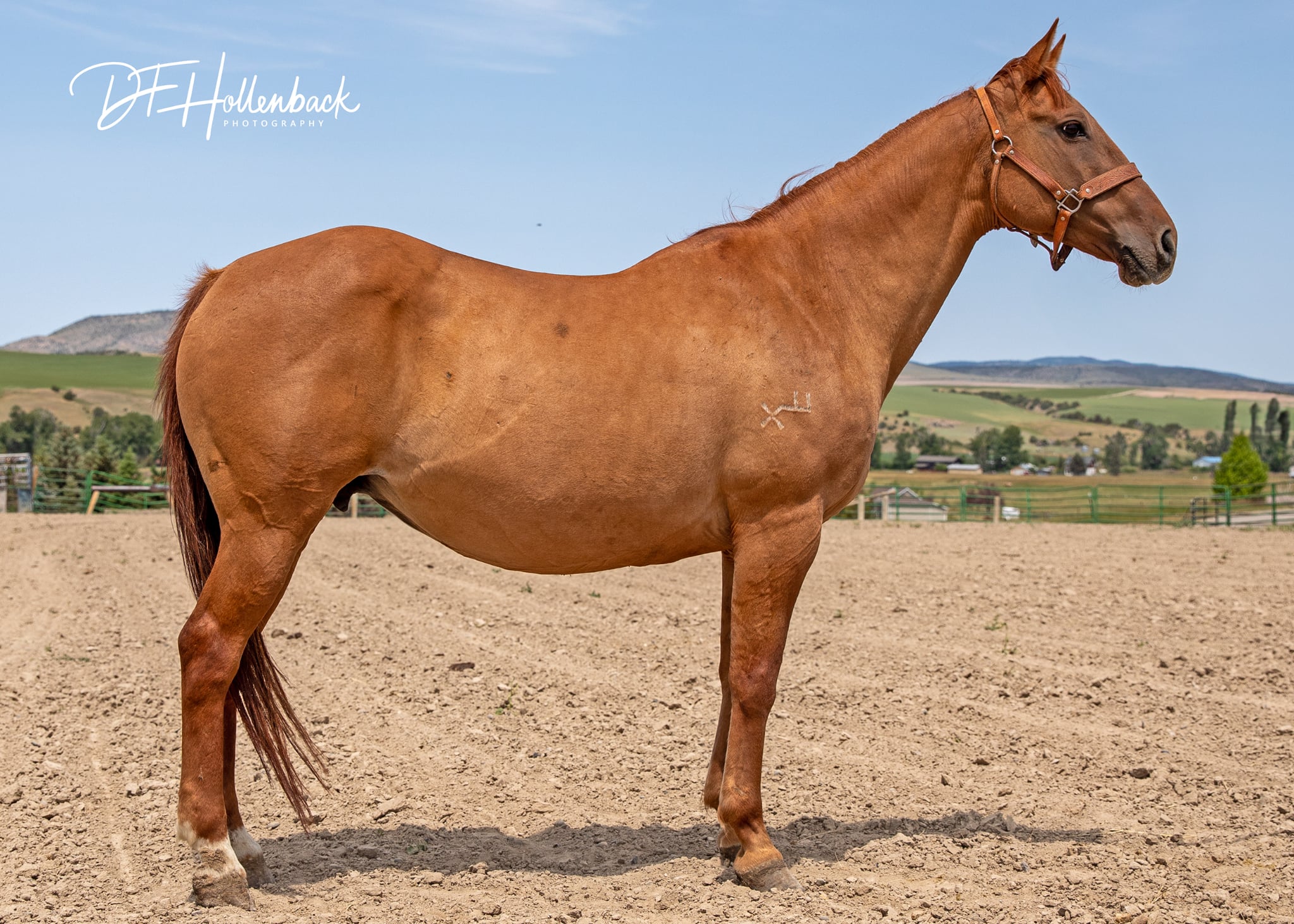 707b8fe7-3c21-42cc-9be4-0a19b8415458