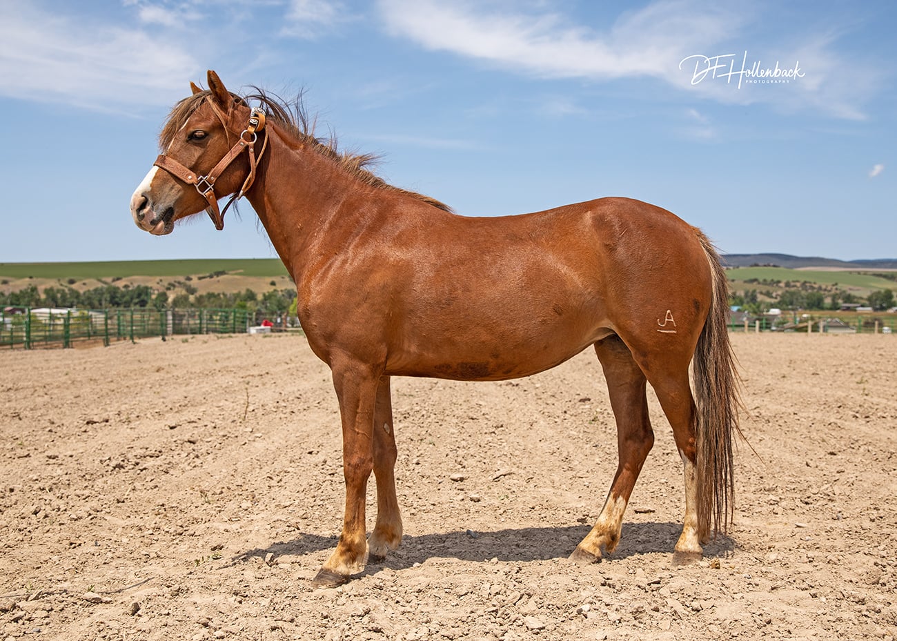 7317af41-ae95-492f-a0ca-53f42a3b87c0