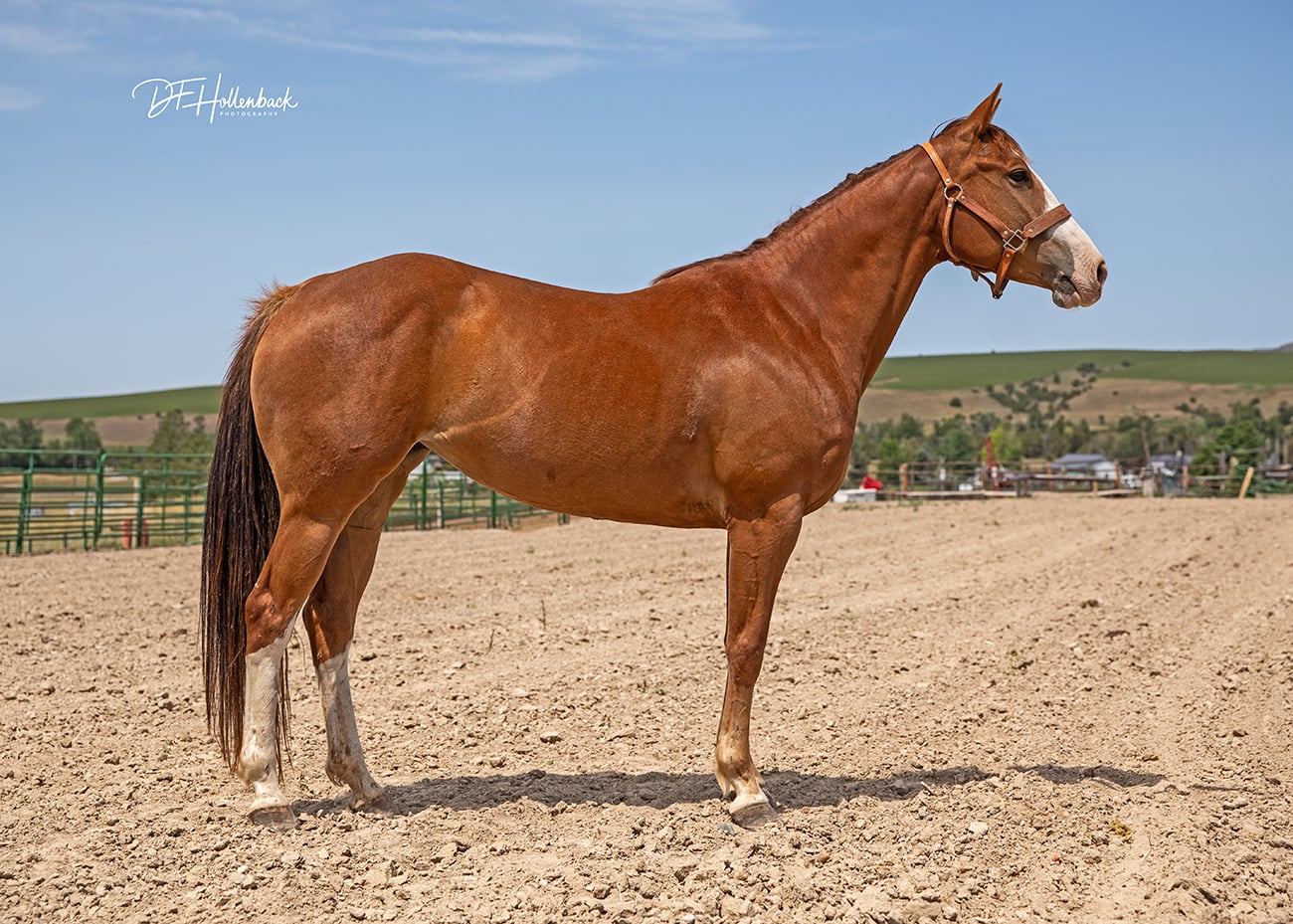 7c4a6328-374f-40fa-8cf2-c5583fa0f8f9