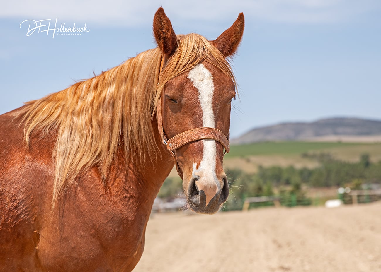 903adbe9-6d0b-46b7-9e81-1222bc03dc89