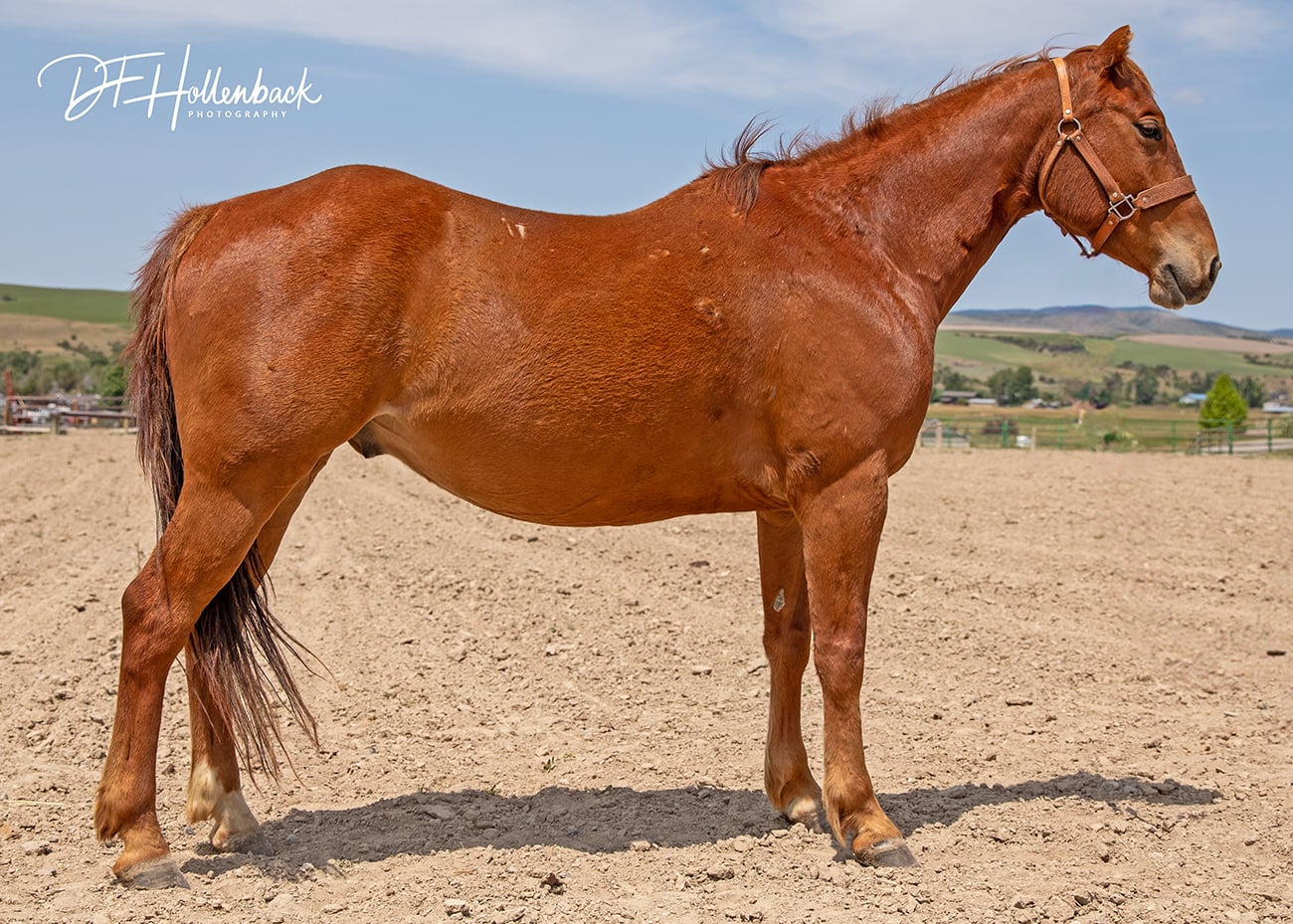 933f453d-1d75-4491-b33e-02ecce55b0e7