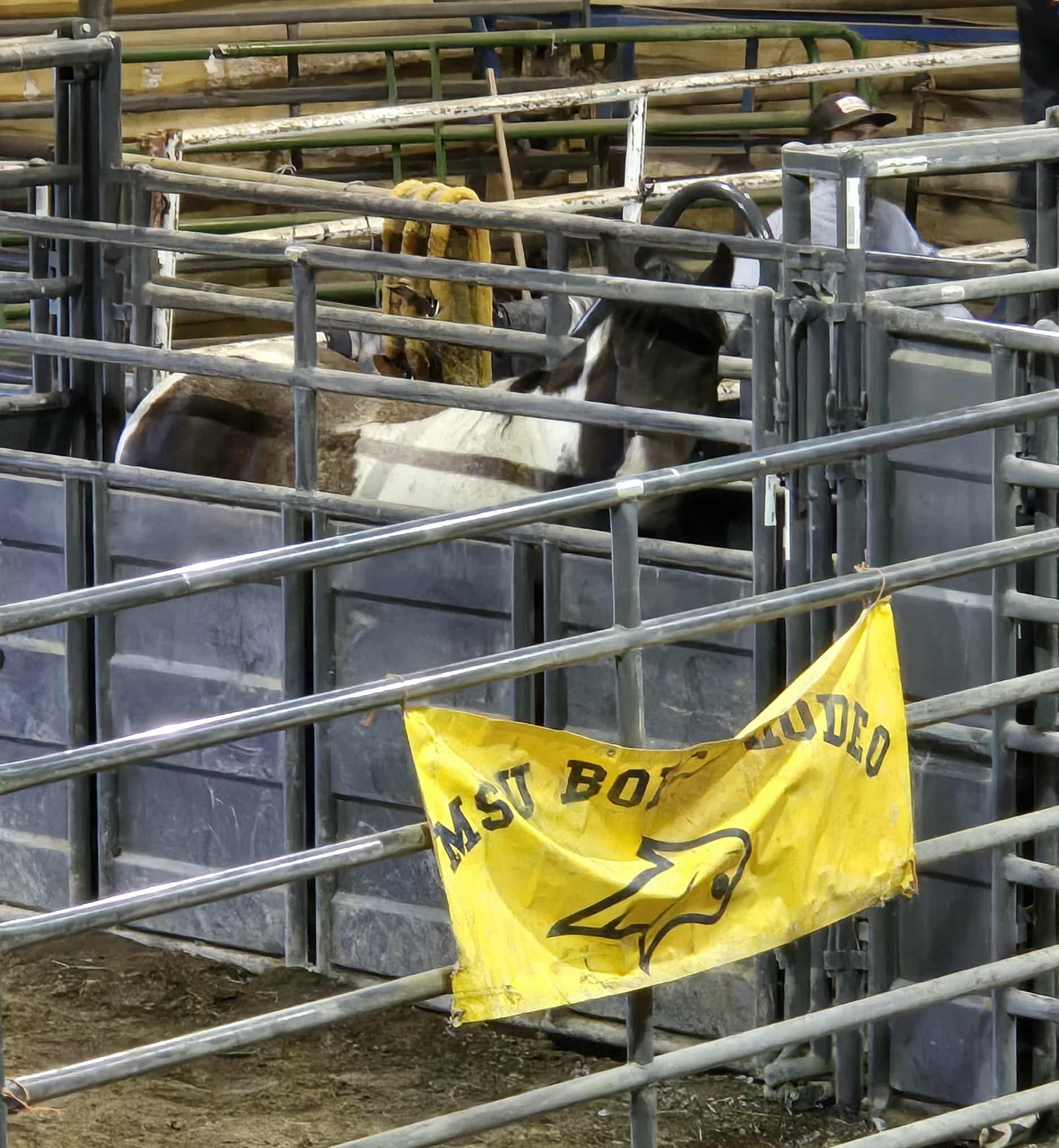 a8ff5b5a-485a-4742-b2fb-07355750fe9b