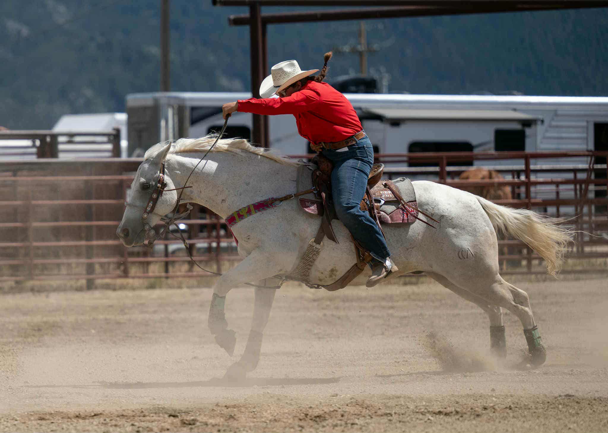 c1a8891d-51cc-4a28-8891-7cf68ce6b49a