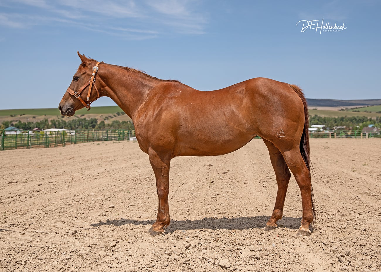 e6f3721f-d0b8-43c9-8d2a-6264936e94d4