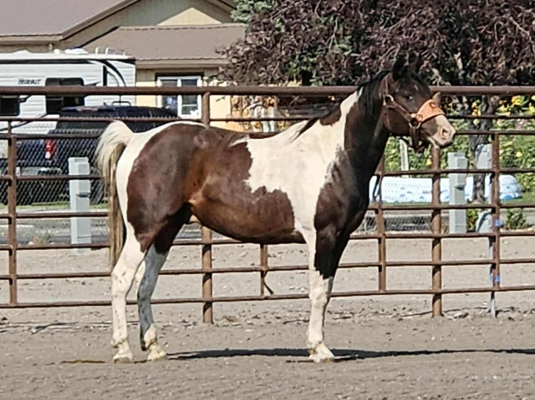 f527c950-547d-447e-8419-ca19650d08fd