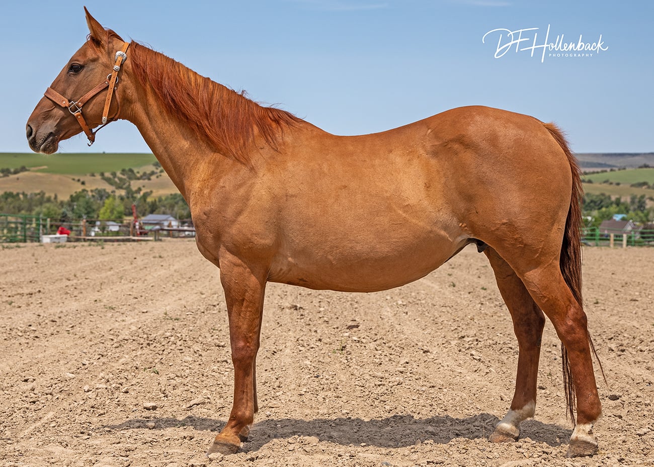 fe25ab1d-1f74-455b-a218-0732c53423ce